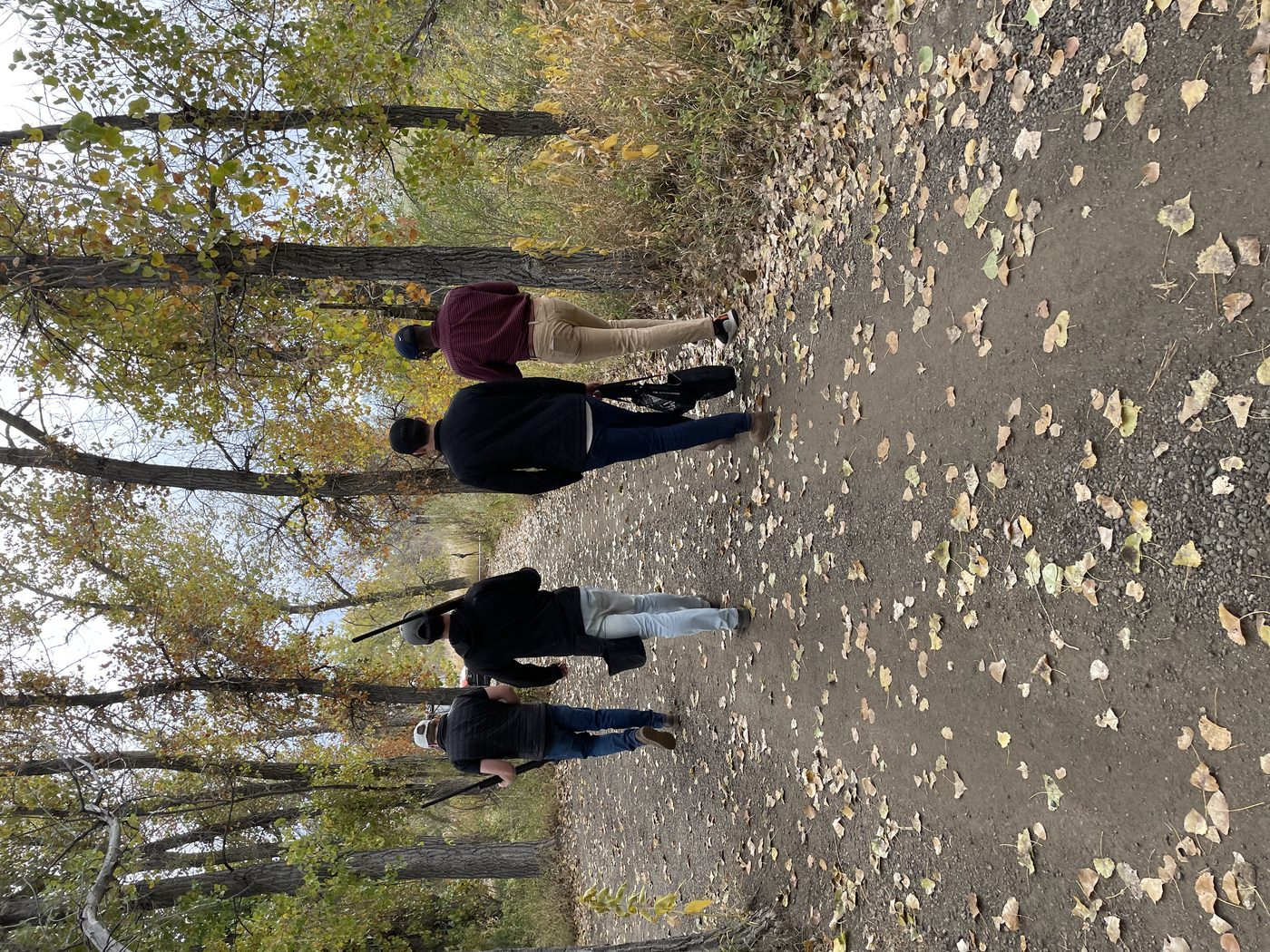 Outdoor 4